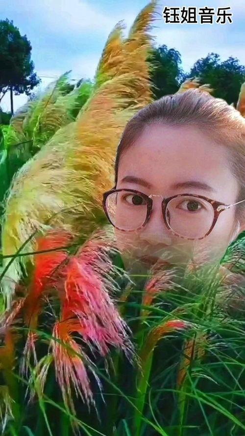 网红最多的作品是什么,哪一部作品成就了最多网红？